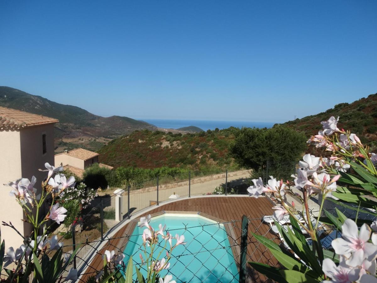 Gites Sassone, Vue Panoramique Sur Ajaccio Et La Mer Alata Ngoại thất bức ảnh